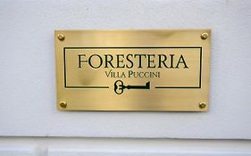 Foresteria Villa Puccini Casa Per Ferie
